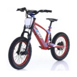 Bicicleta electrica 500W 18