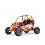 Buggy ROAN 300cc CVT R12 Todoterreno Biplaza