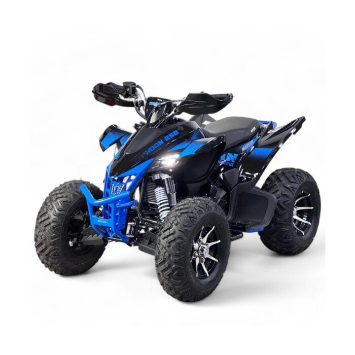 Quad 250cc Roan Typhoon R10 R-N-1-2-3-4 - Imagen 1