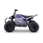 Quad eléctrico 1800W Dakar Roan R10 Brushless - Imagen 2