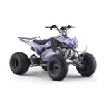 Quad eléctrico 1800W Dakar Roan R10 Brushless - Imagen 5