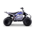 Quad eléctrico 1800W Dakar Roan R10 Brushless - Imagen 6