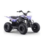 Quad 125cc Roan Dakar R8 Semi-Automático - Imagen 2