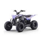 Quad 125cc Roan Dakar R8 Semi-Automático