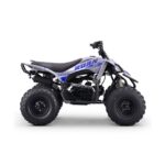 Quad 125cc Roan Dakar R8 Semi-Automático - Imagen 4