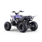 Quad 125cc Roan Dakar R8 Semi-Automático - Imagen 7