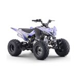 Quad 250cc Roan DAKAR manual R-1-2-3-4 R10