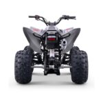 Quad 250cc Roan DAKAR manual R-1-2-3-4 R10 - Imagen 4