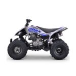 Quad 250cc Roan DAKAR manual R-1-2-3-4 R10 - Imagen 2
