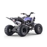Quad 250cc Roan DAKAR manual R-1-2-3-4 R10 - Imagen 5