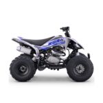 Quad 250cc Roan DAKAR manual R-1-2-3-4 R10 - Imagen 7