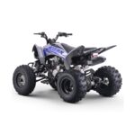 Quad 250cc Roan DAKAR manual R-1-2-3-4 R10 - Imagen 6