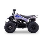Quad infantil ROAN DAKAR 110cc Automático - Imagen 2