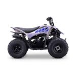 Quad infantil ROAN DAKAR 110cc Automático - Imagen 4