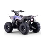 Quad infantil ROAN DAKAR 110cc Automático - Imagen 3