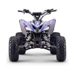 Quad Roan Dakar 300cc Zongshen R10 - Imagen 7