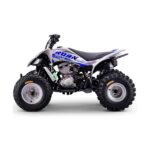 Quad Roan Dakar 300cc Zongshen R10 - Imagen 4