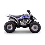 Quad Roan Dakar 300cc Zongshen R10 - Imagen 5