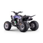 Quad Roan Dakar 300cc Zongshen R10 - Imagen 3