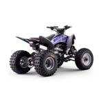 Quad Roan Dakar 300cc Zongshen R10 - Imagen 6