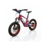 Bicicleta electrica infantil 350W 16