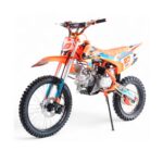 Pit bike K190XXL REXO 190cc 19/16