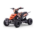 Miniquad Roan Raptor 49cc R4