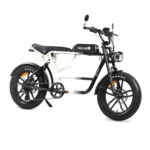 Bicicleta eléctrica Fat Bike Youin Miami - Imagen 2