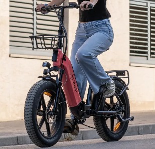 Bicicleta eléctrica Fat Bike plegable Youin Luxor (1) Bicicleta eléctrica Fat Bike plegable Youin Luxor - Imagen 10