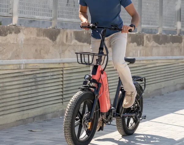 Bicicleta eléctrica Fat Bike plegable Youin Luxor (2) Bicicleta eléctrica Fat Bike plegable Youin Luxor - Imagen 11