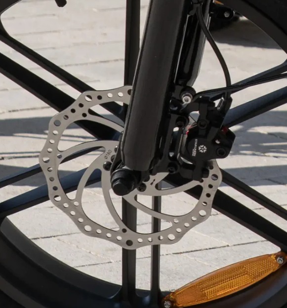 Bicicleta eléctrica Fat Bike plegable Youin Luxor (3) Bicicleta eléctrica Fat Bike plegable Youin Luxor - Imagen 7