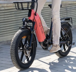 Bicicleta eléctrica Fat Bike plegable Youin Luxor (5) Bicicleta eléctrica Fat Bike plegable Youin Luxor - Imagen 9